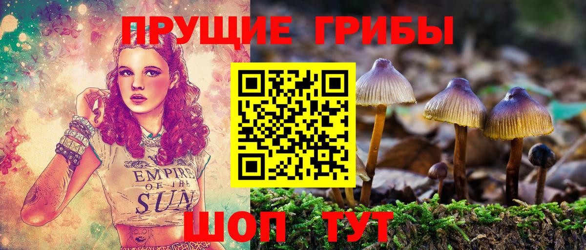 Псилоцибиновые грибы Psilocybine cubensis  Псилоцибиновые грибы ЛСД  Корсаков  Вход с VPN 